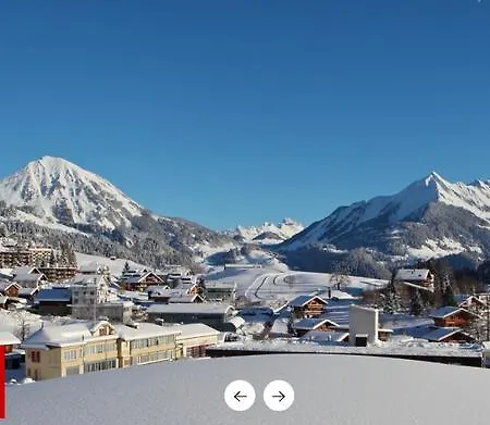 Apartmán - Swiss Alps - Fully Renovated ! Leysin