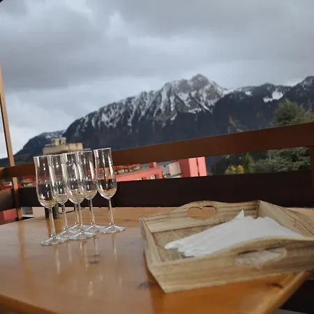 - Swiss Alps - Fully Renovated ! Apartment Leysin