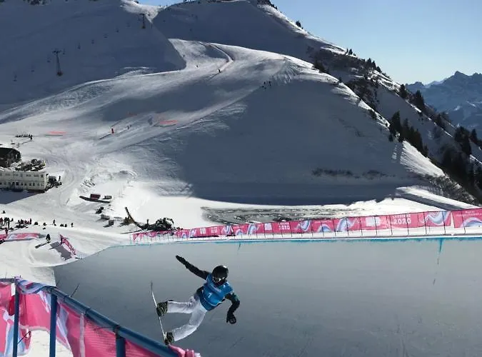 Daire - Swiss Alps - Fully Renovated ! *