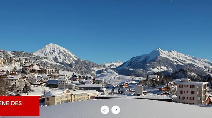 Apartment - Swiss Alps - Fully Renovated ! Leysin