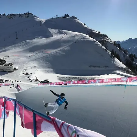 公寓 - Swiss Alps - Fully Renovated ! *