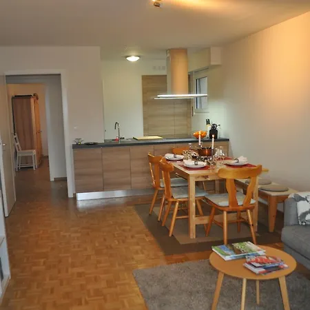 公寓 - Swiss Alps - Fully Renovated !