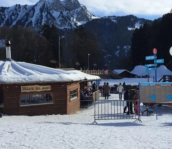 Apartament - Swiss Alps - Fully Renovated ! *