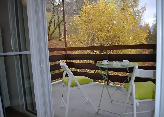 - Swiss Alps - Fully Renovated ! * Leysin